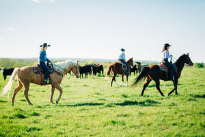 Callison Ranch Bc Callison Ranch Beef